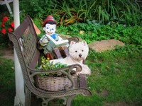 Sugar Star FCI, West Highland White Terrier Zucht, West Highland White Terriers