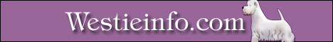 Westieinfo