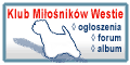 Klub Miłośników Westie